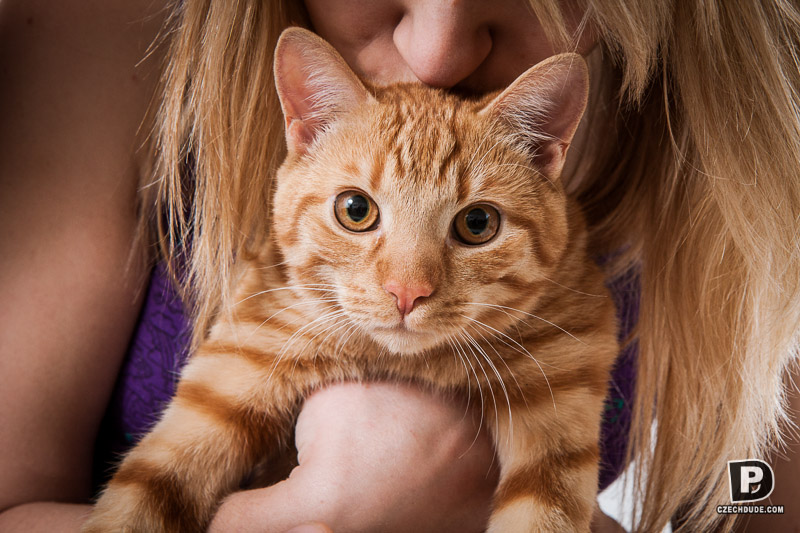 fotografie z alba Portréty